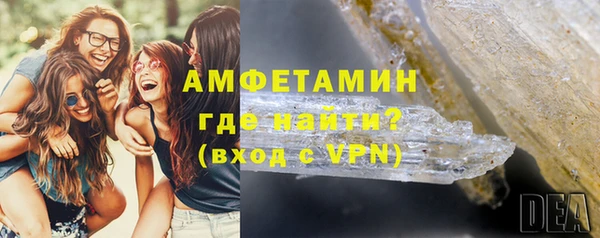 стаф Богданович